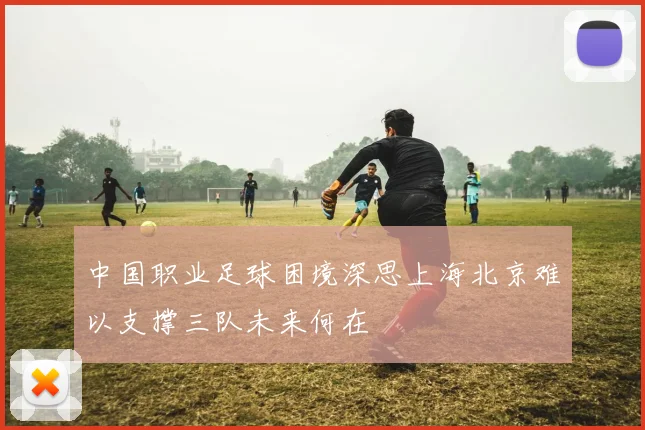 中国职业足球困境深思上海北京难以支撑三队未来何在